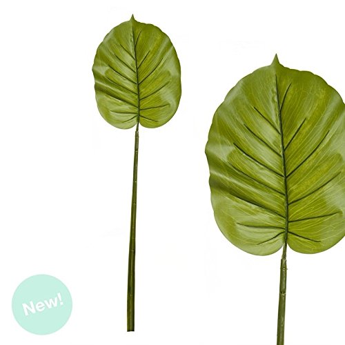Hojas de decoracion tropical 88 cm "Set 2 pieza"