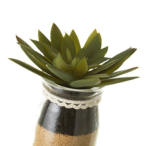 Pack 4 Cactus Artificial en Maceta de Cristal