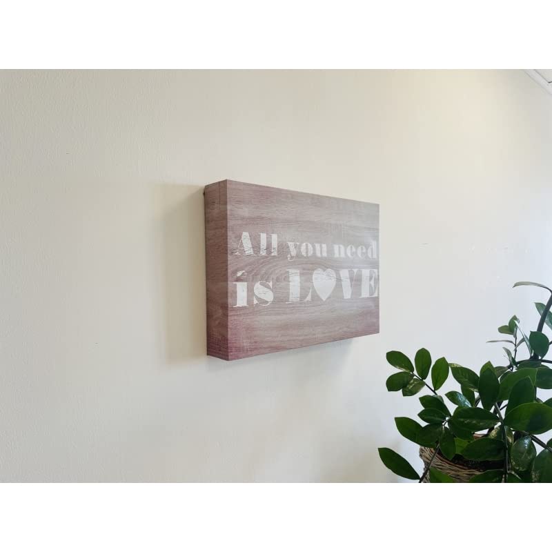 Tapa Contador de luz Cubre Cuadros electricos Buda Lienzo Canvas Madera