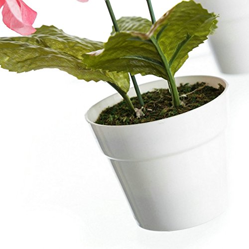 Pack 4 Planta hortensia decorada en maceta