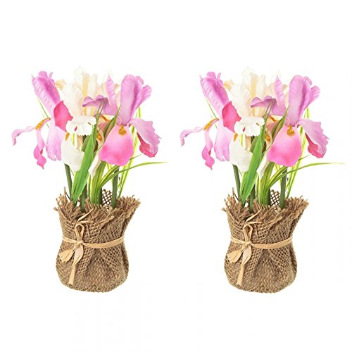 Pack 2 Planta iris decorada maceta de tela de saco .