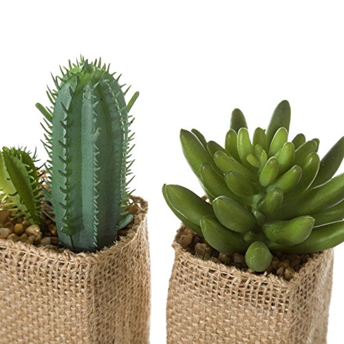 Cactus artificial en maceta en tela de saco