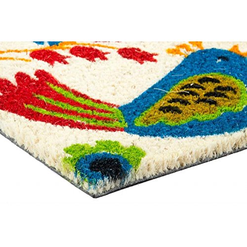 Felpudo Fibra Coco pajaros 75x45 cm
