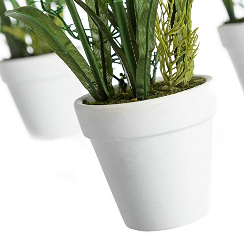 Pack 3 Planta azafran poliester en maceta de terracota .