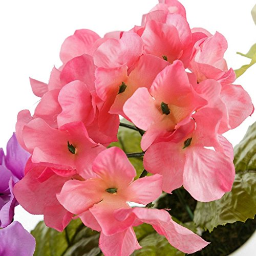 Pack 4 Planta hortensia decorada en maceta