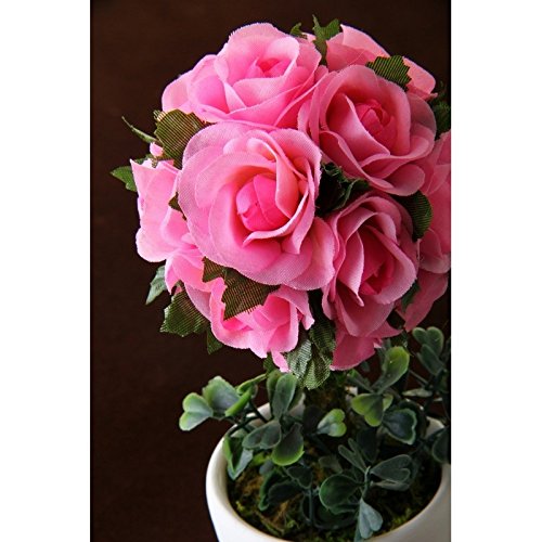 Pack 2 Plantas rosas 2/c poliester 20 cm en maceta de terracota.