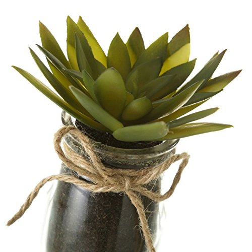 Pack 4 Cactus Artificial en Maceta de Cristal