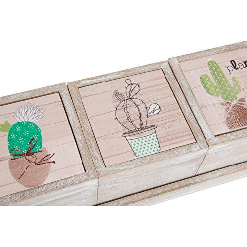Cajas original decoradas de madera cactus con bandeja .