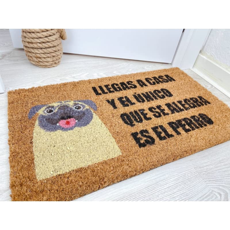 Felpudo Perro Original Cuidado con El dueño 40x70 cm