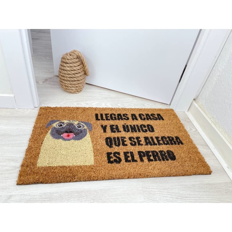Felpudo Perro Original Cuidado con El dueño 40x70 cm