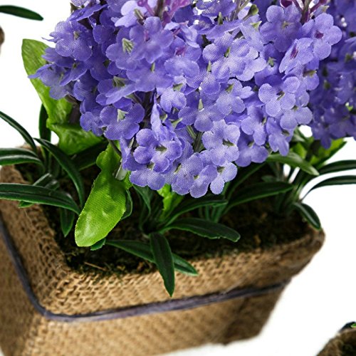 Set 3 Planta Lavanda Poliester con Tela Saco