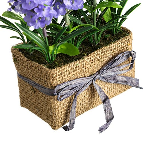 Set 3 Planta Lavanda Poliester con Tela Saco