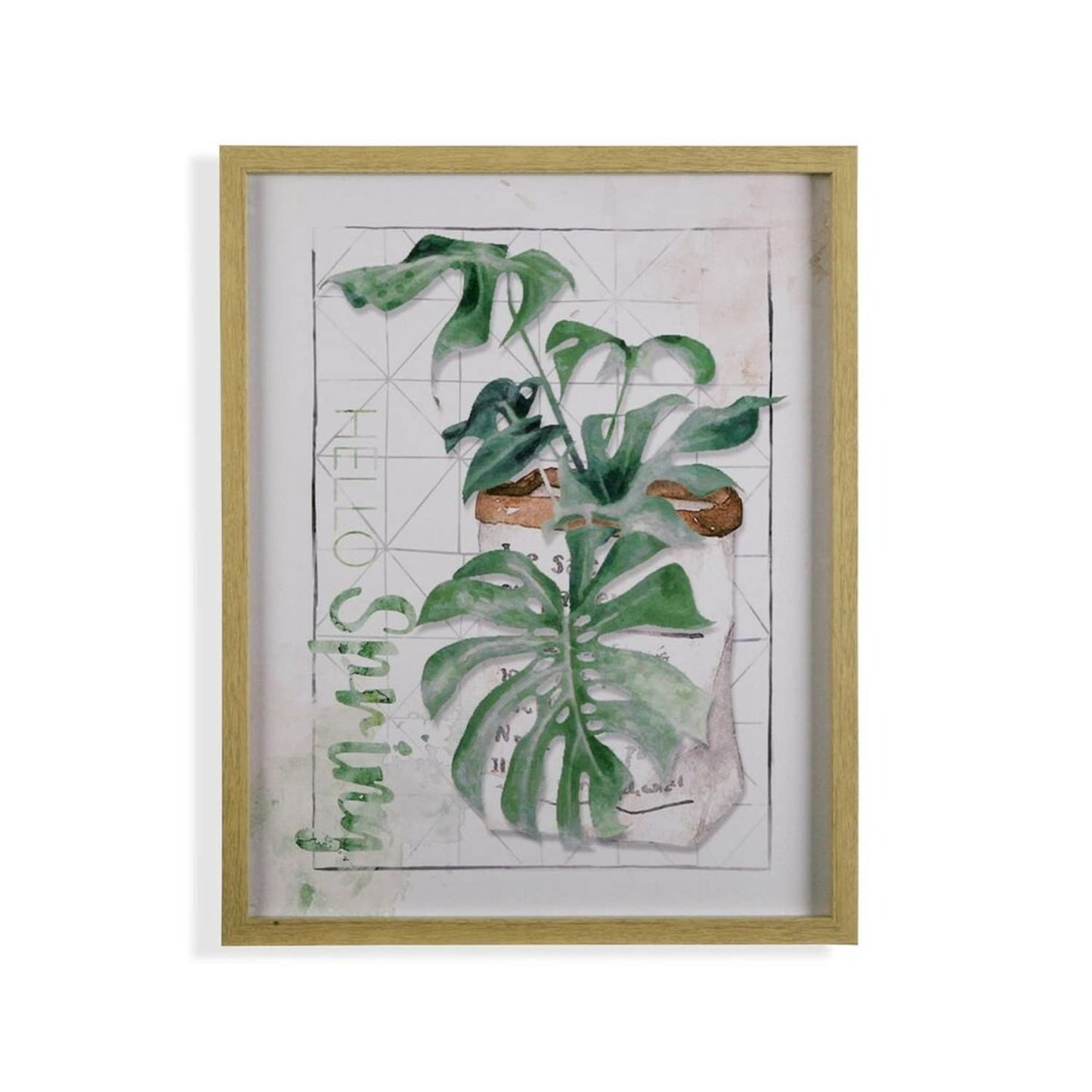 Cuadro Planta, Multicolor, sin Datos