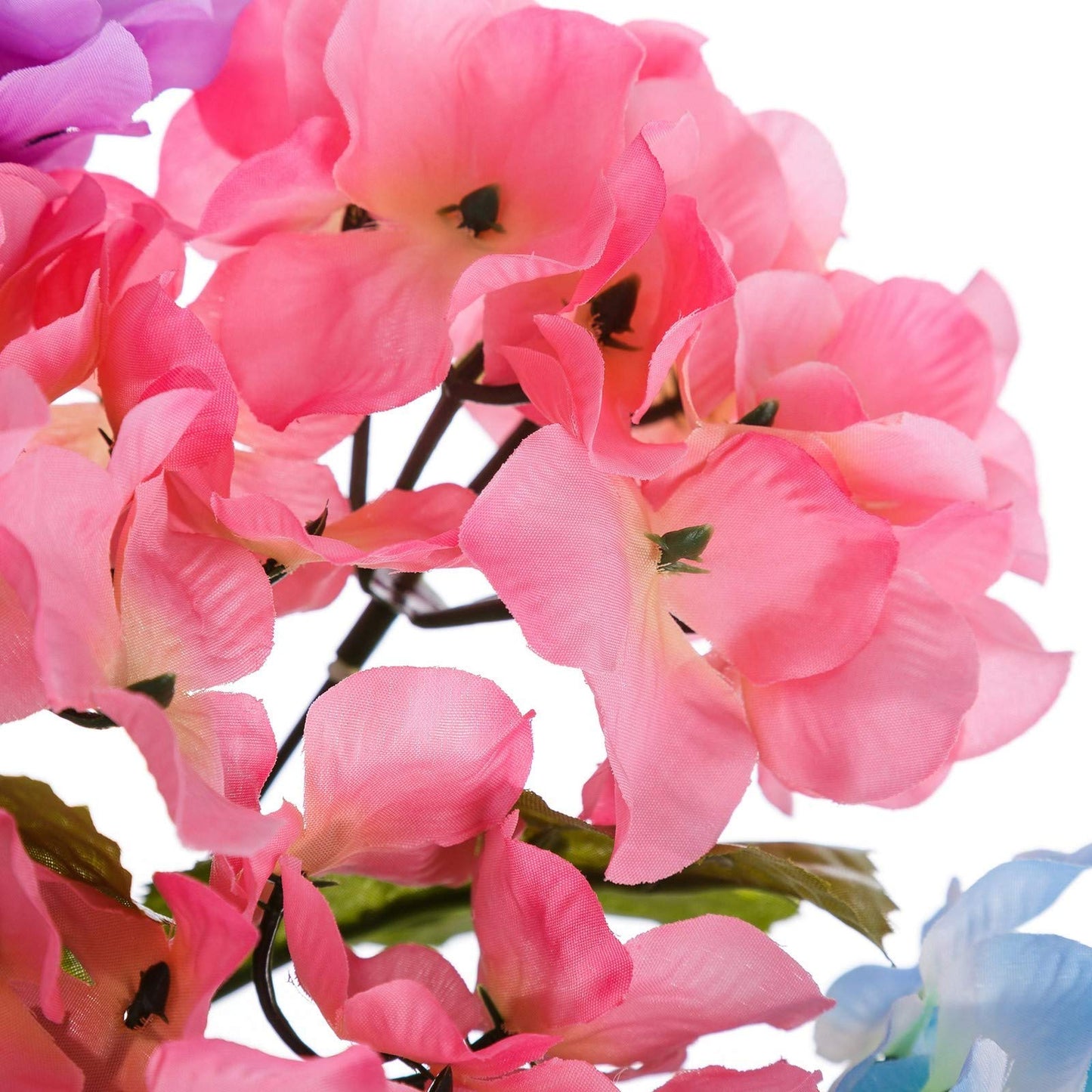 Pack 4 Planta Hortensia Decorada en Maceta 27 cm.