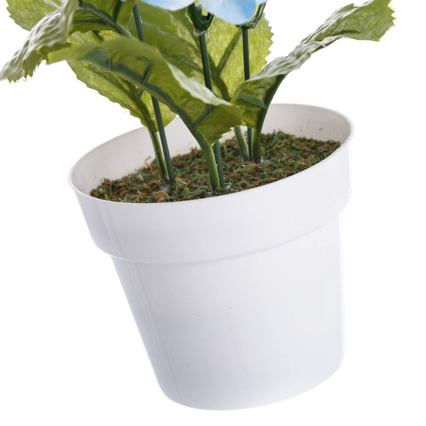 Pack 4 Planta Hortensia Decorada en Maceta 27 cm.