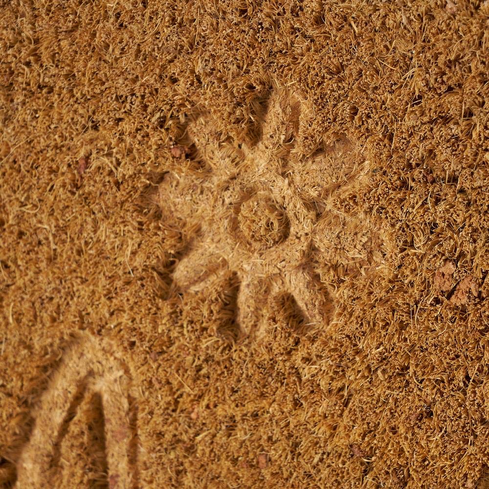 Felpudo Antideslizante Frases, Flores, Bicicleta, Hojas de Fibra de Coco de 60x40 cm