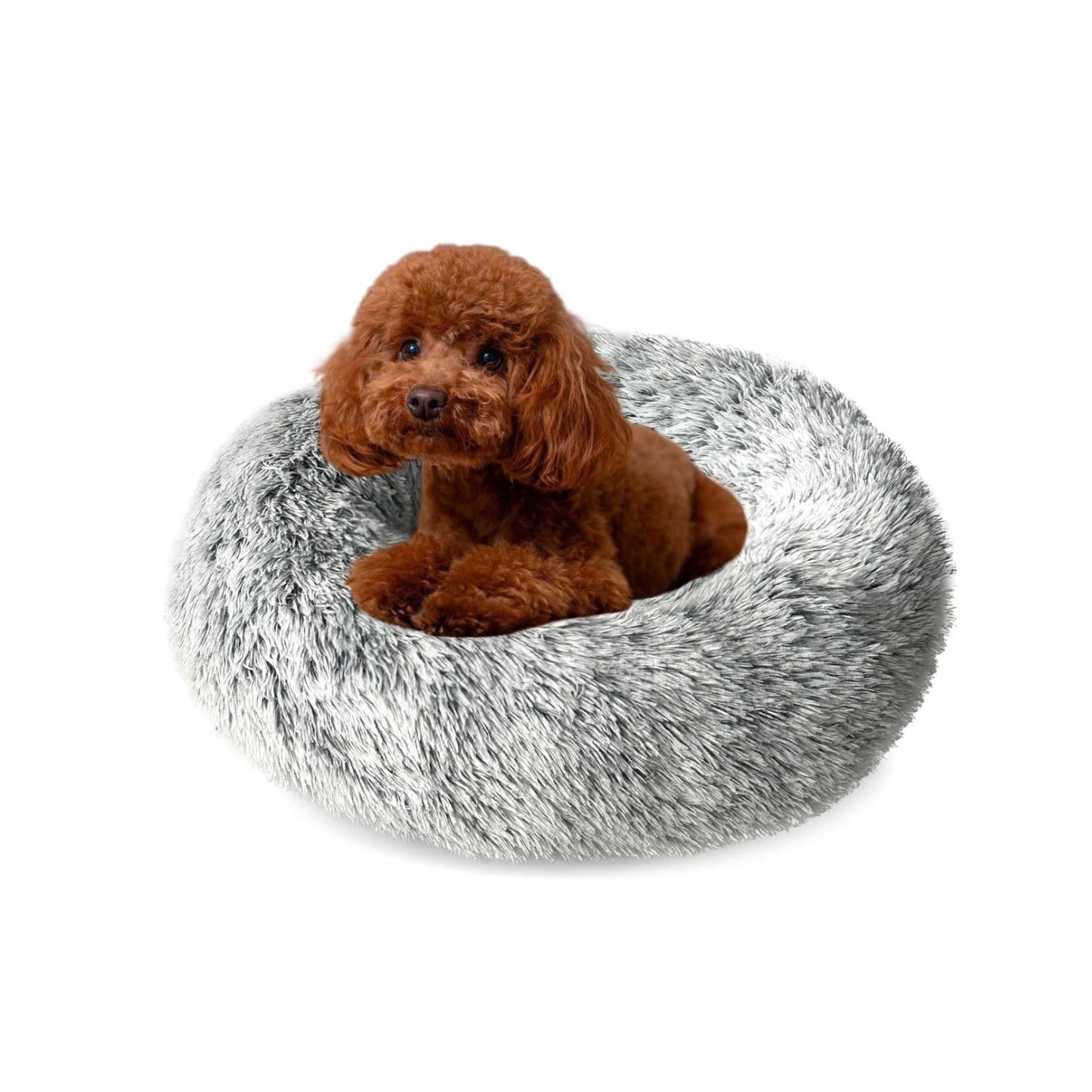 DAMDAM GO Camas para Mascotas, Cama para Perros, Cama Gato, Alfombra de Felpa Suave y Mullida