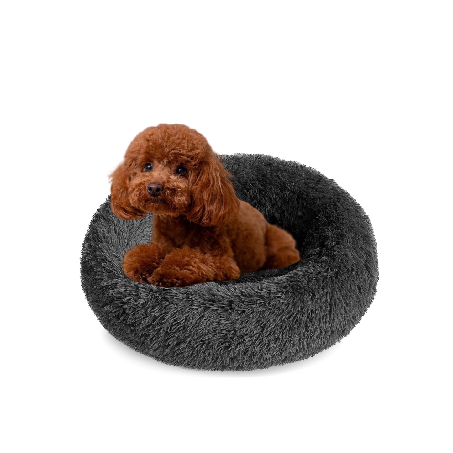 DAMDAM GO Camas para Mascotas, Cama para Perros, Cama Gato, Alfombra de Felpa Suave y Mullida