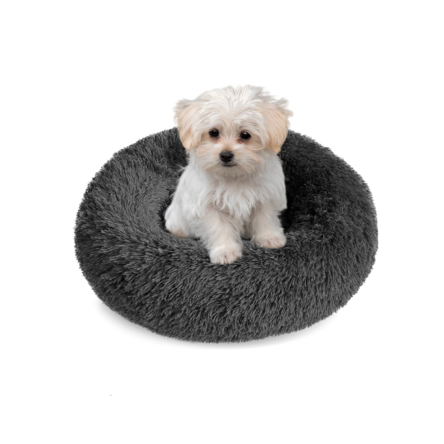 DAMDAM GO Camas para Mascotas, Cama para Perros, Cama Gato, Alfombra de Felpa Suave y Mullida