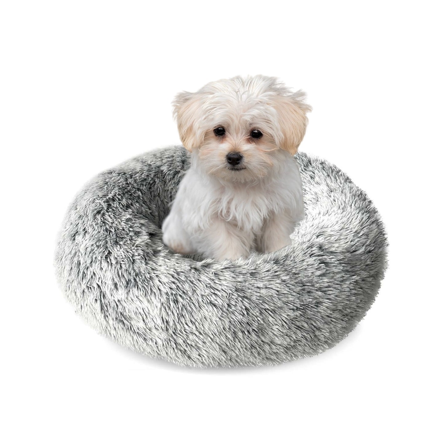 DAMDAM GO Camas para Mascotas, Cama para Perros, Cama Gato, Alfombra de Felpa Suave y Mullida