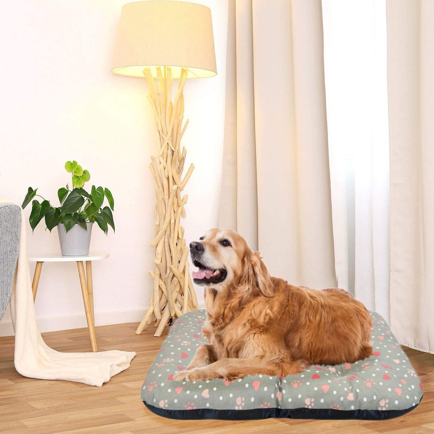 DAMDAM GO Cama Perro Mediana de Tela, Cama Perro Ortopédica Extra Grande, Cama para Mascotas, Colchoneta Mascotas para Transportín y Hogar