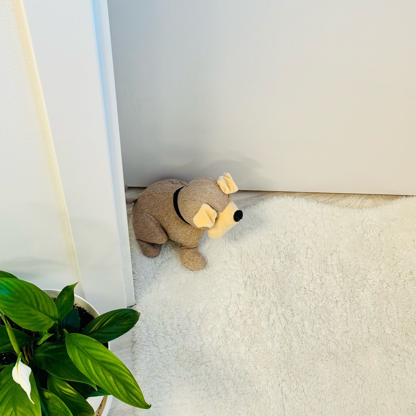 Tope de Puerta Antigolpe, Tope de Puerta con Diseño de Perro, Protección para Paredes y Mascotas, Diseño Divertido Protege tu Hogar