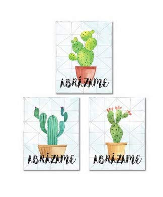 Lienzos Modernos Cactus 40 x 50 cm - Pack 3 Pieza