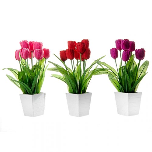 Pack 3 Planta Tulipa Decorada Maceta de Madera