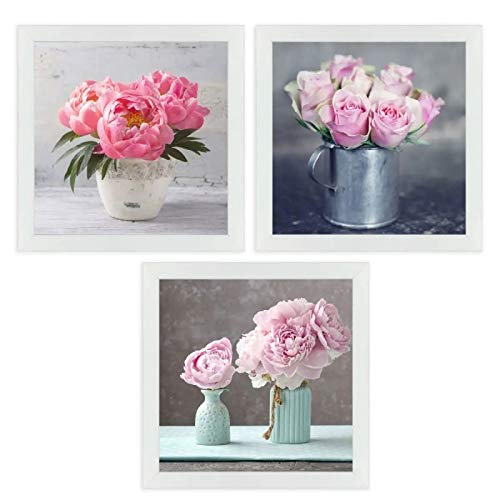 Set 3 Cuadro Lienzo Flores con Marco 30x30 cm