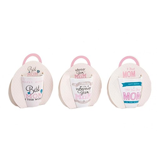 Tazas de infusiones romantica Pack de 3 Tazas con Filtro y Soporte