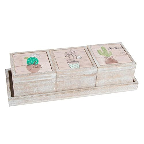 Cajas original decoradas de madera cactus con bandeja .