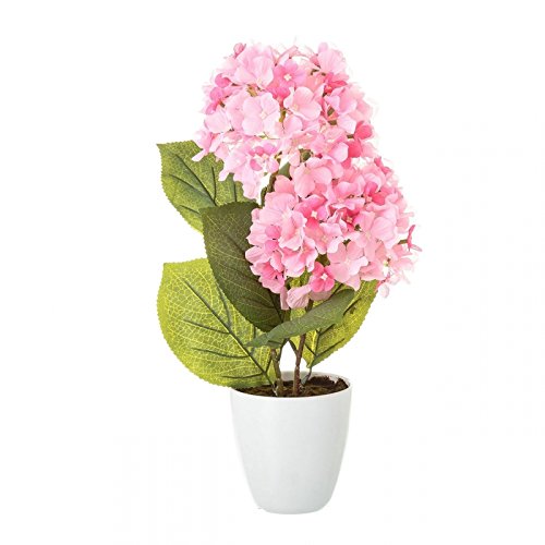 Planta hortensia rosa algodon en maceta de plastico 12 x 44 cm.
