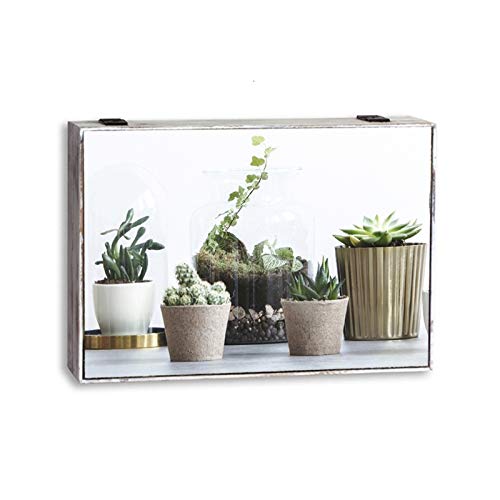 Tapa de Contador Original macetas Decorativas