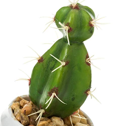 Pack 4 Cactus Artificial plástico 14 cm Maceta de melamina.
