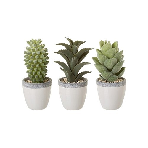 Pack 3 Cactus Artificial en Maceta Porcelana