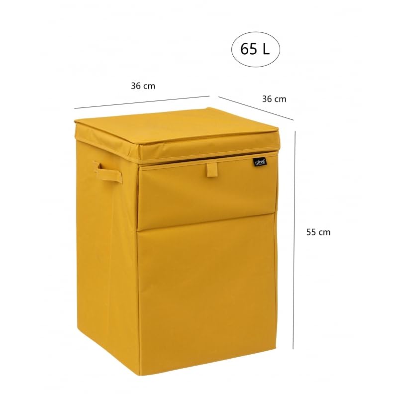 Cesto de Ropa Sucia con Tapa 65L Para la Ropa Lavandería Organización de Ropa, Rectangular
