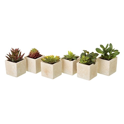 Pack 6 cactus artificial plástico en maceta de arena .