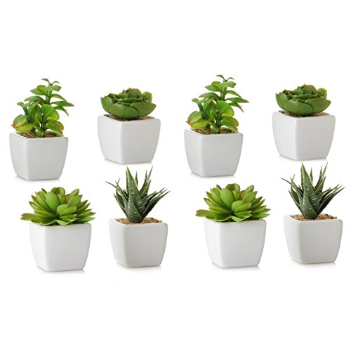 Pack 8 Cactus Artificial plástico 10 cm Maceta de Porcelana.