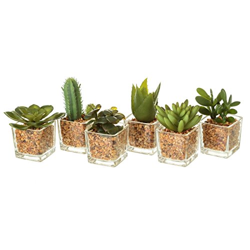 Pack 6 Cactus Artificial plástico en Maceta de Cristal