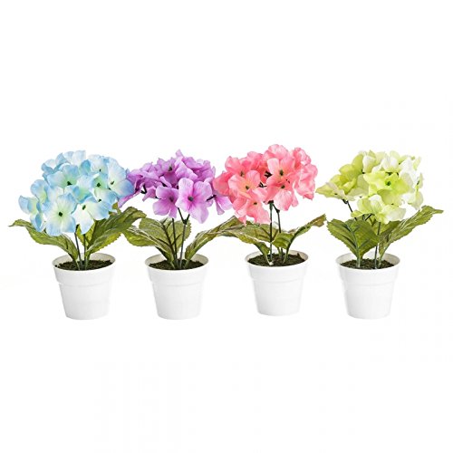 Pack 4 Planta hortensia decorada en maceta