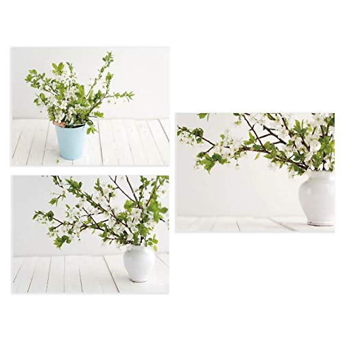 Set 3 Cuadro Lienzo macetas Flores 40X30 cm