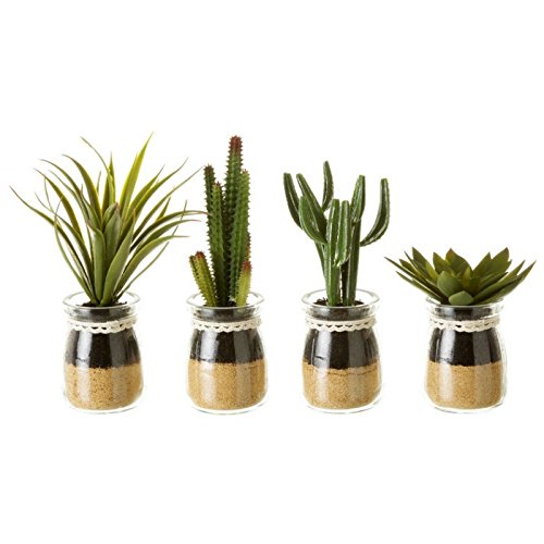 Pack 4 Cactus Artificial en Maceta de Cristal