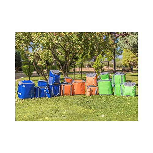 Bolsa termica para 6 latas - 5,6 litros