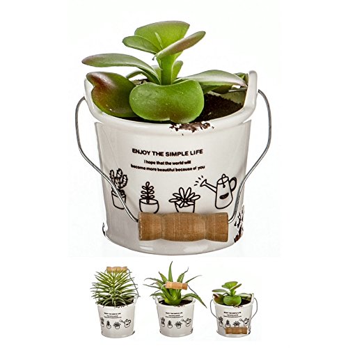 Pack 3 Cactus Artificial en Maceta Porcelana