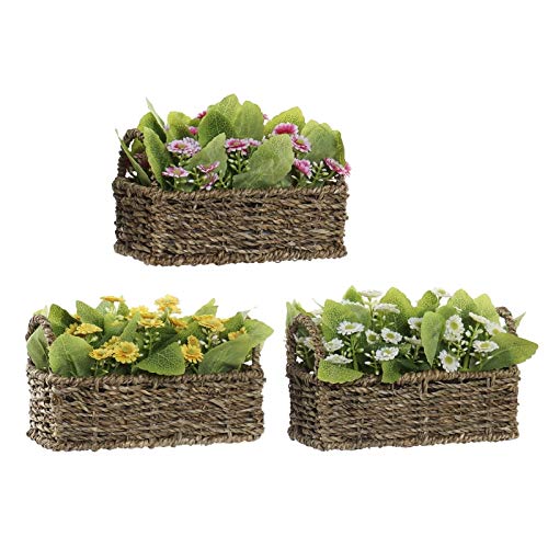 Pack 3 Maceta Artificial plástico Margaritas