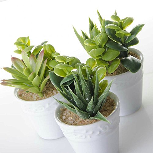 Pack 6 Cactus Artificial plástico 11 cm Maceta de Porcelana.