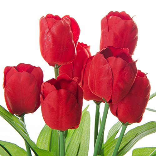 Pack 3 Planta Tulipa Decorada Maceta de Madera