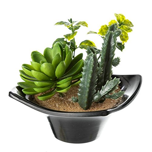 Set 2 Maceta Cactus plástico 10 x 10 x 10 cm Base de melamina.