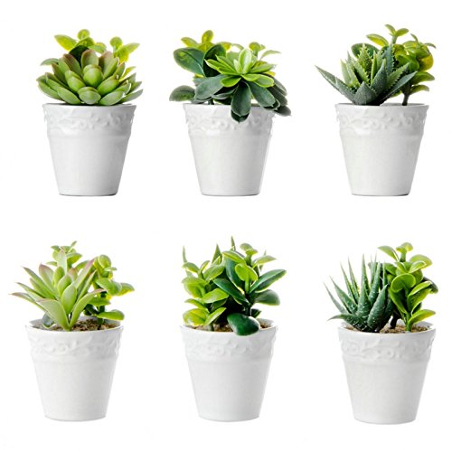 Pack 6 Cactus Artificial plástico 11 cm Maceta de Porcelana.