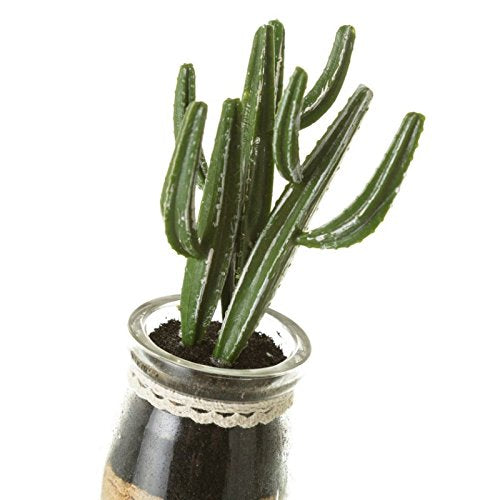 Pack 4 Cactus Artificial en Maceta de Cristal